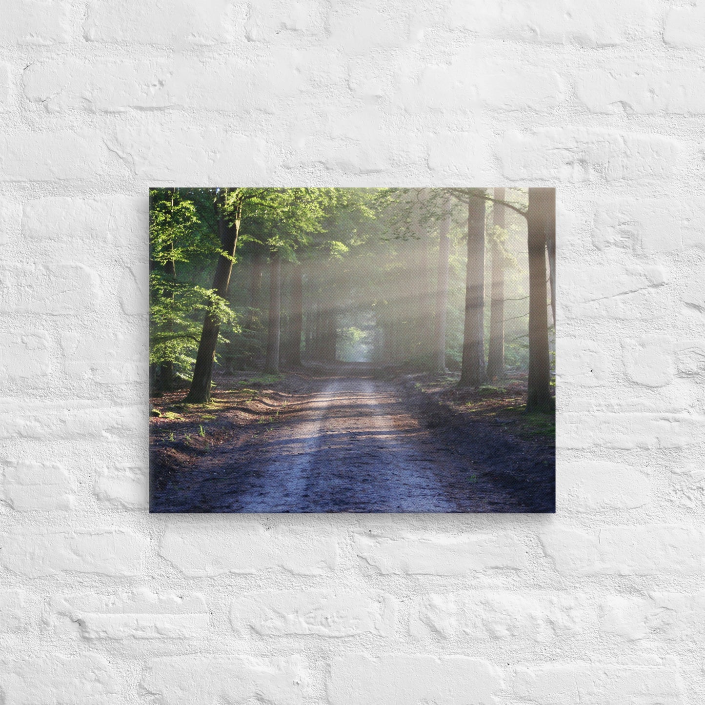 Path Through Woods Canvas