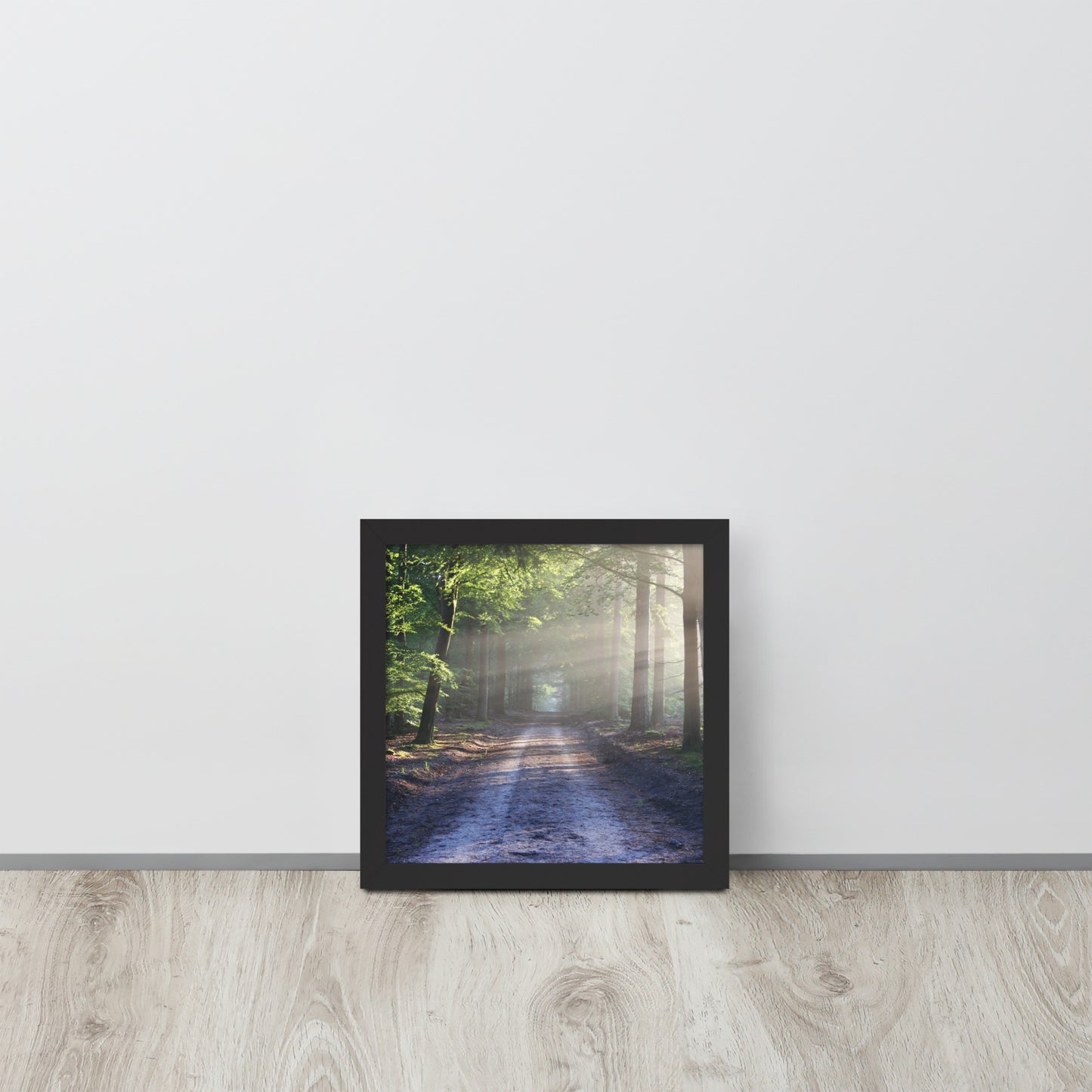 Path Through Woods Framed Poster