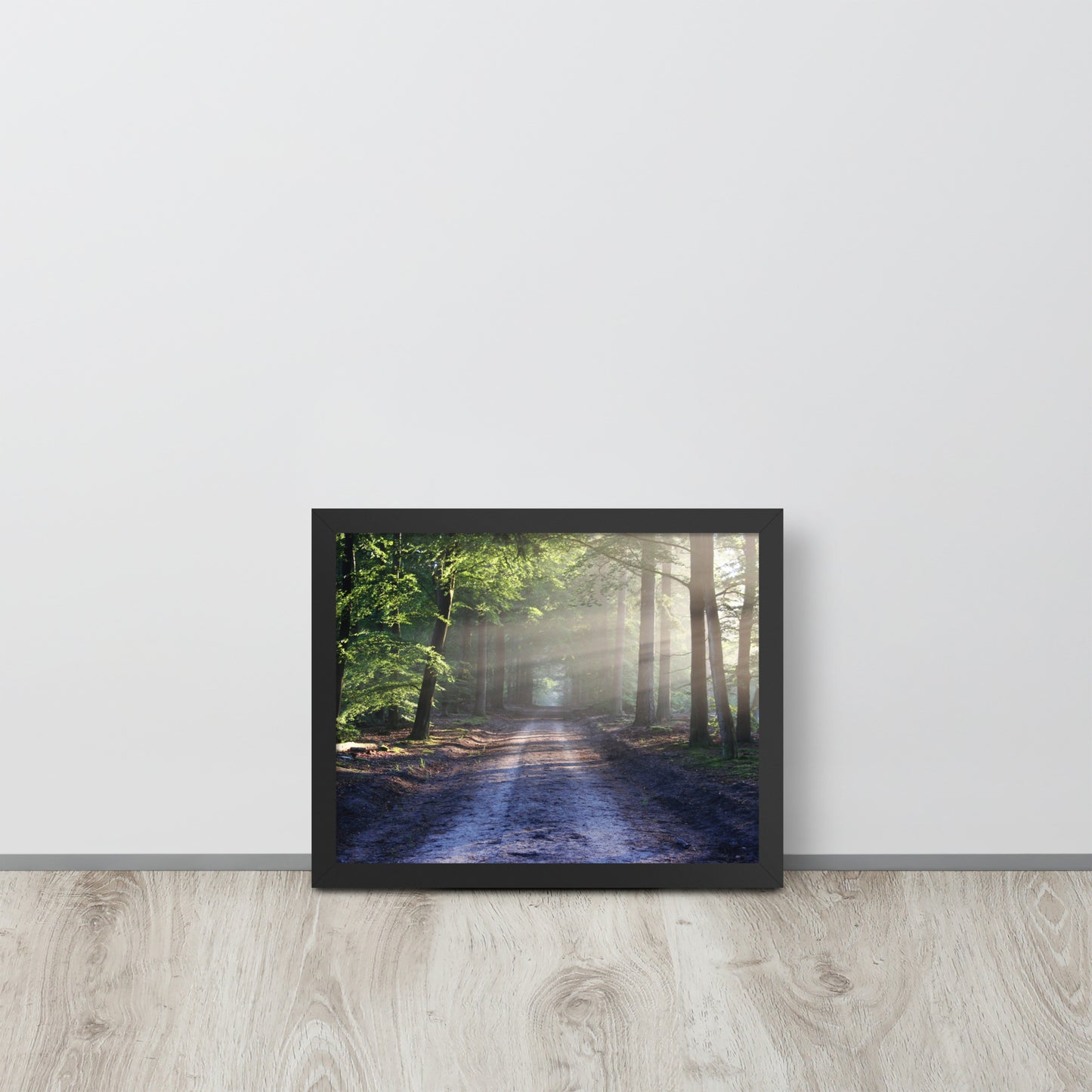 Path Through Woods Framed Poster