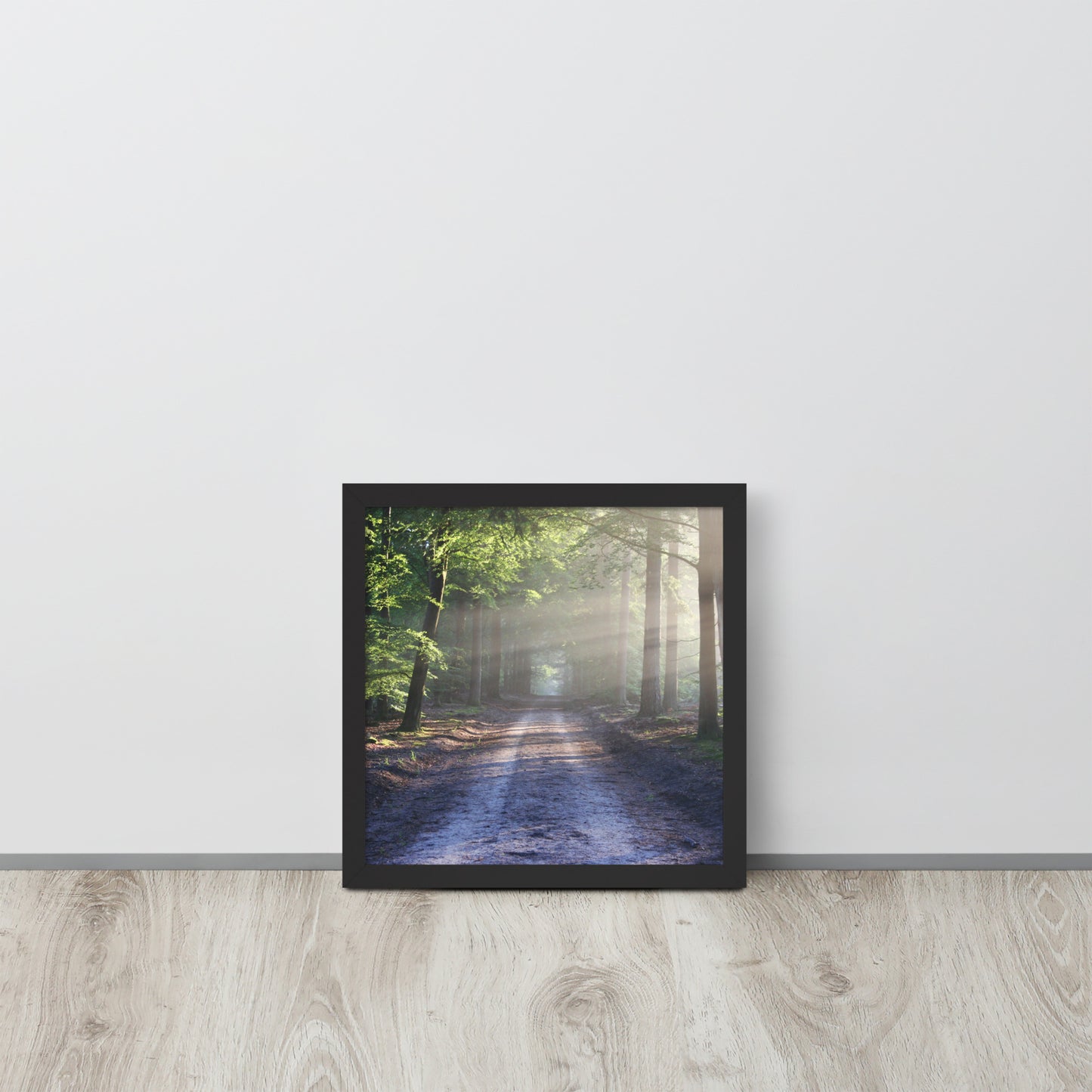 Path Through Woods Framed Poster