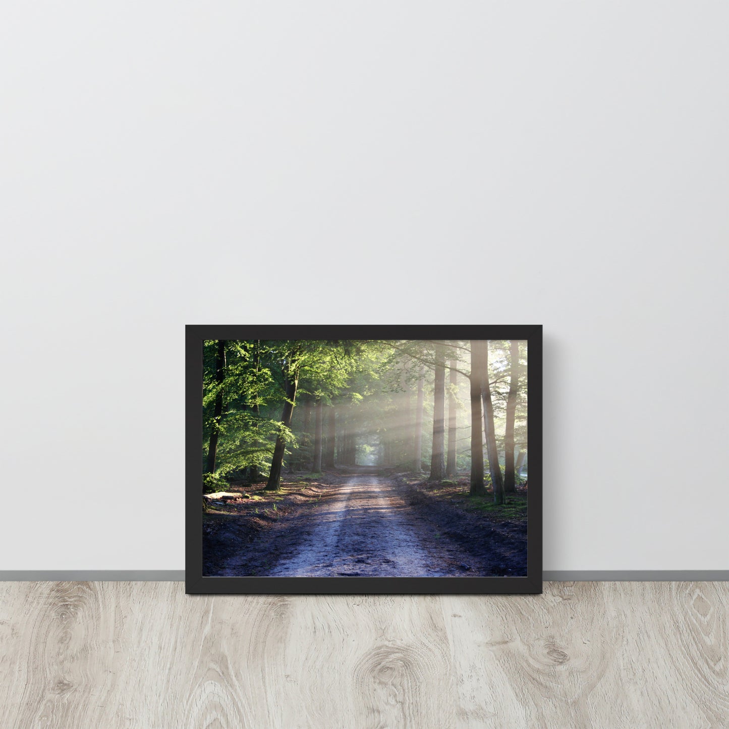 Path Through Woods Framed Poster