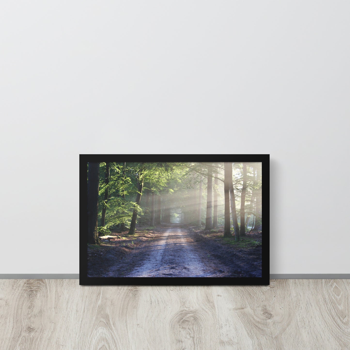 Path Through Woods Framed Poster