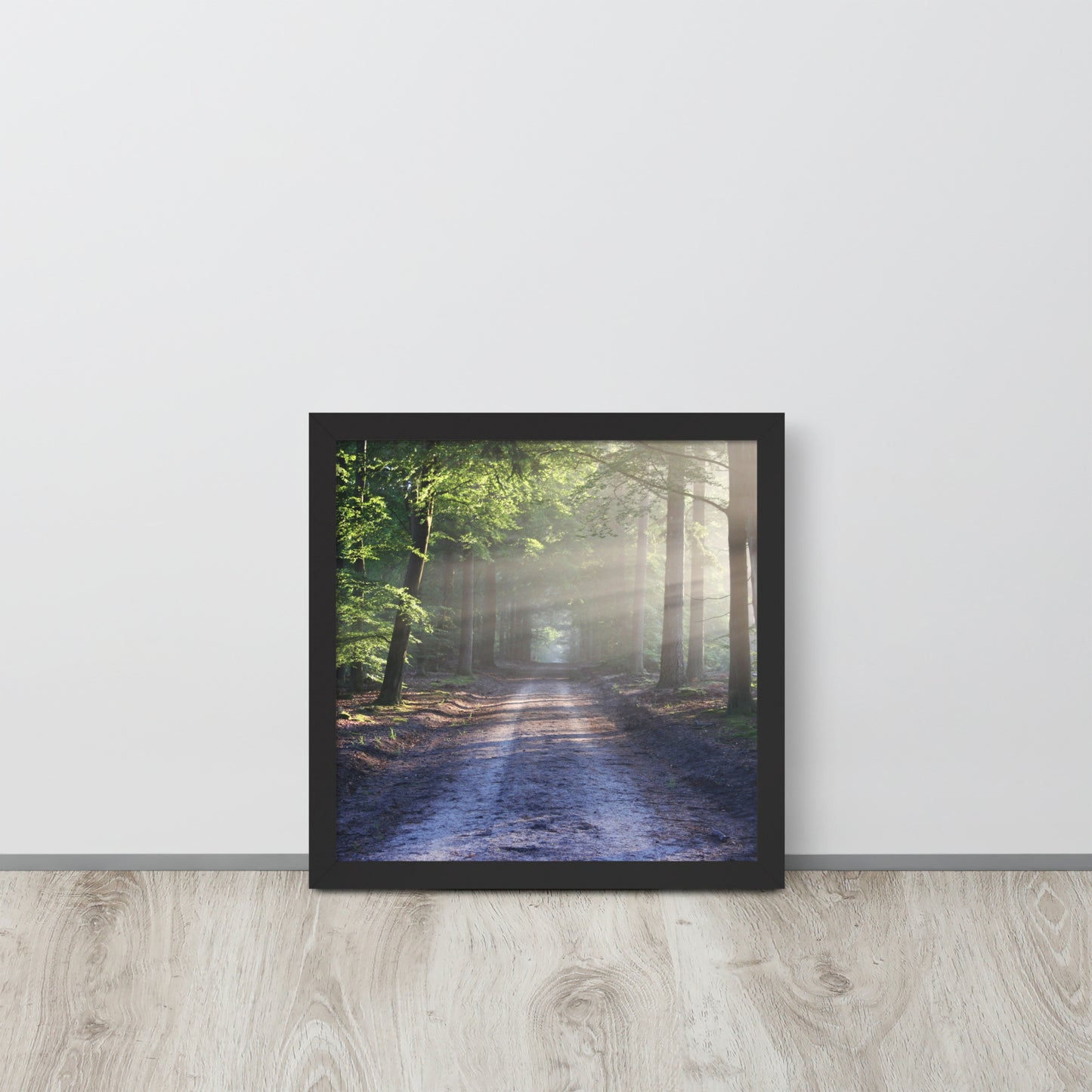 Path Through Woods Framed Poster