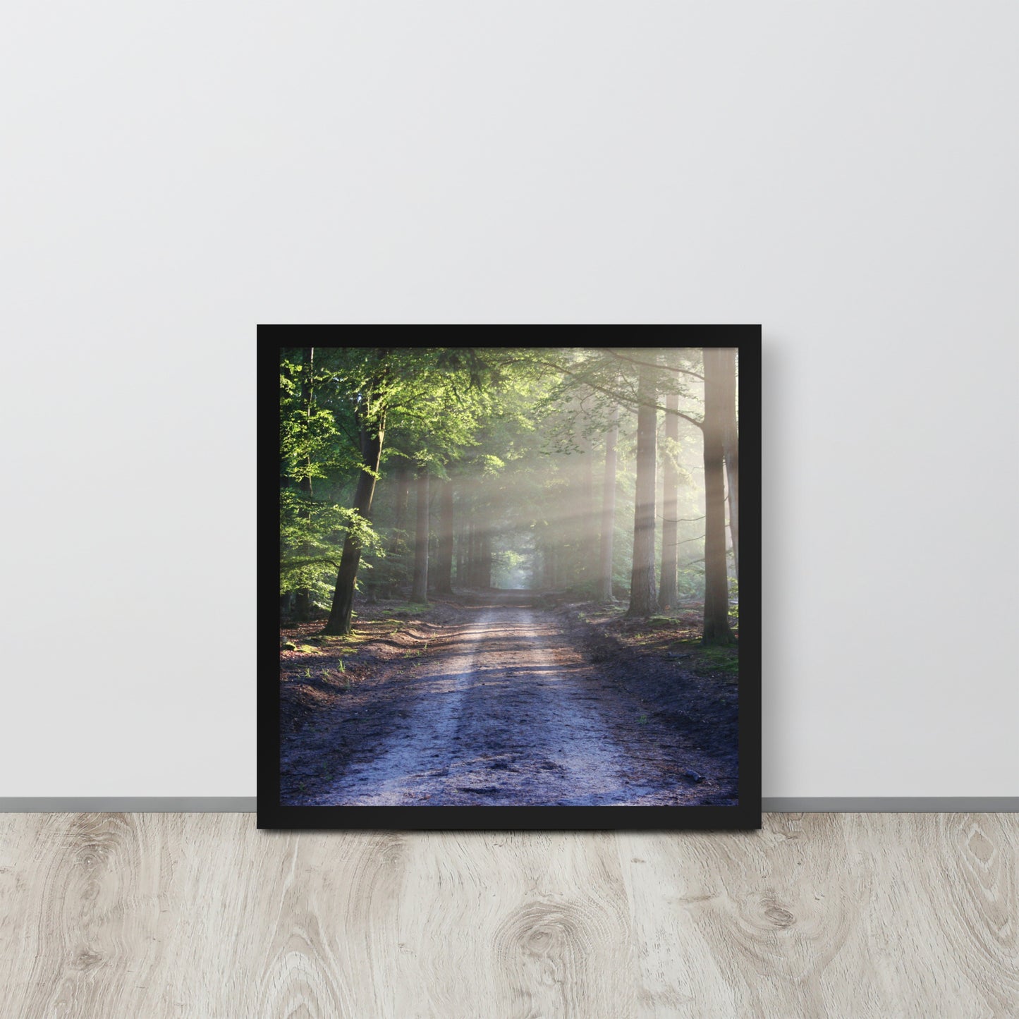 Path Through Woods Framed Poster