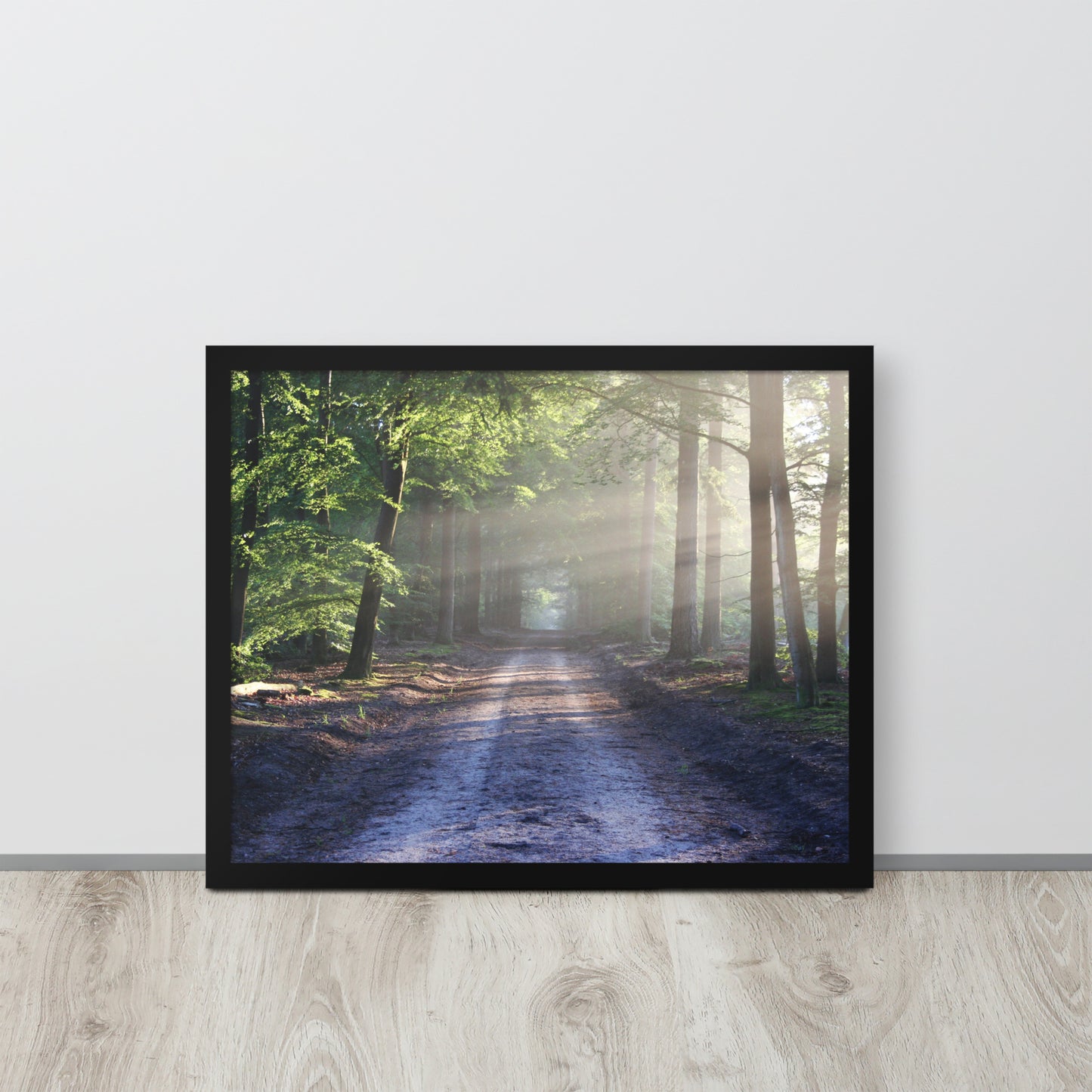 Path Through Woods Framed Poster