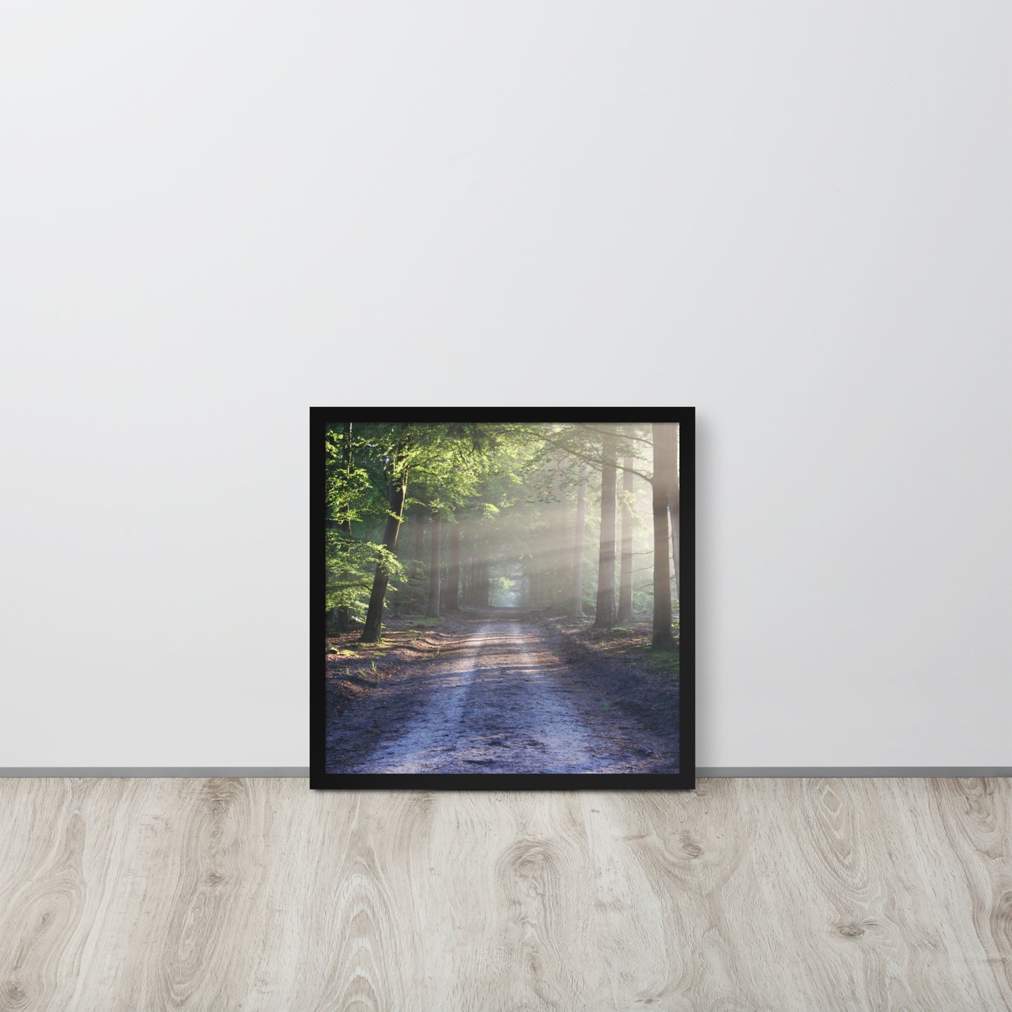 Path Through Woods Framed Poster