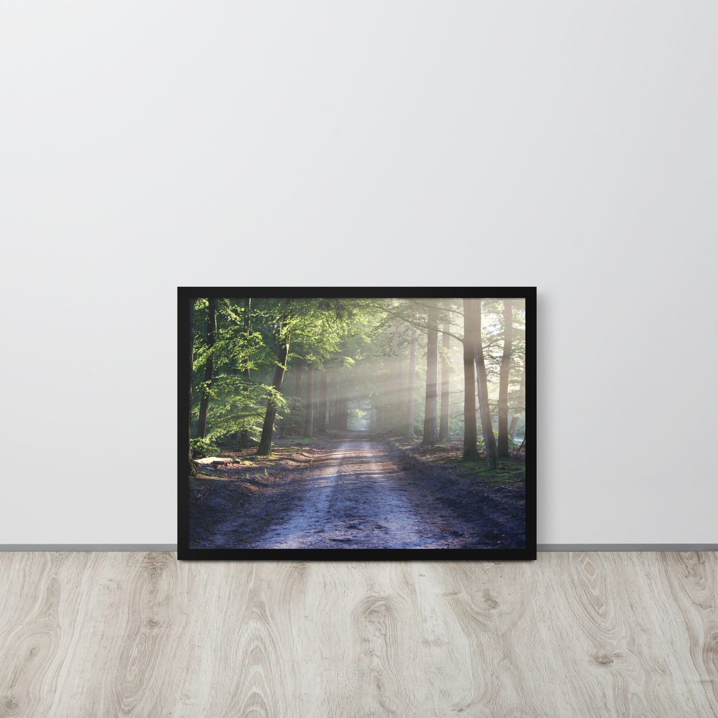 Path Through Woods Framed Poster