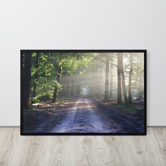 Path Through Woods Framed Poster