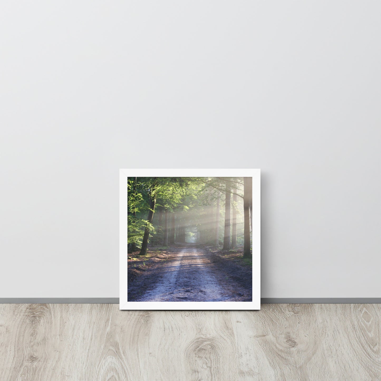 Path Through Woods Framed Poster