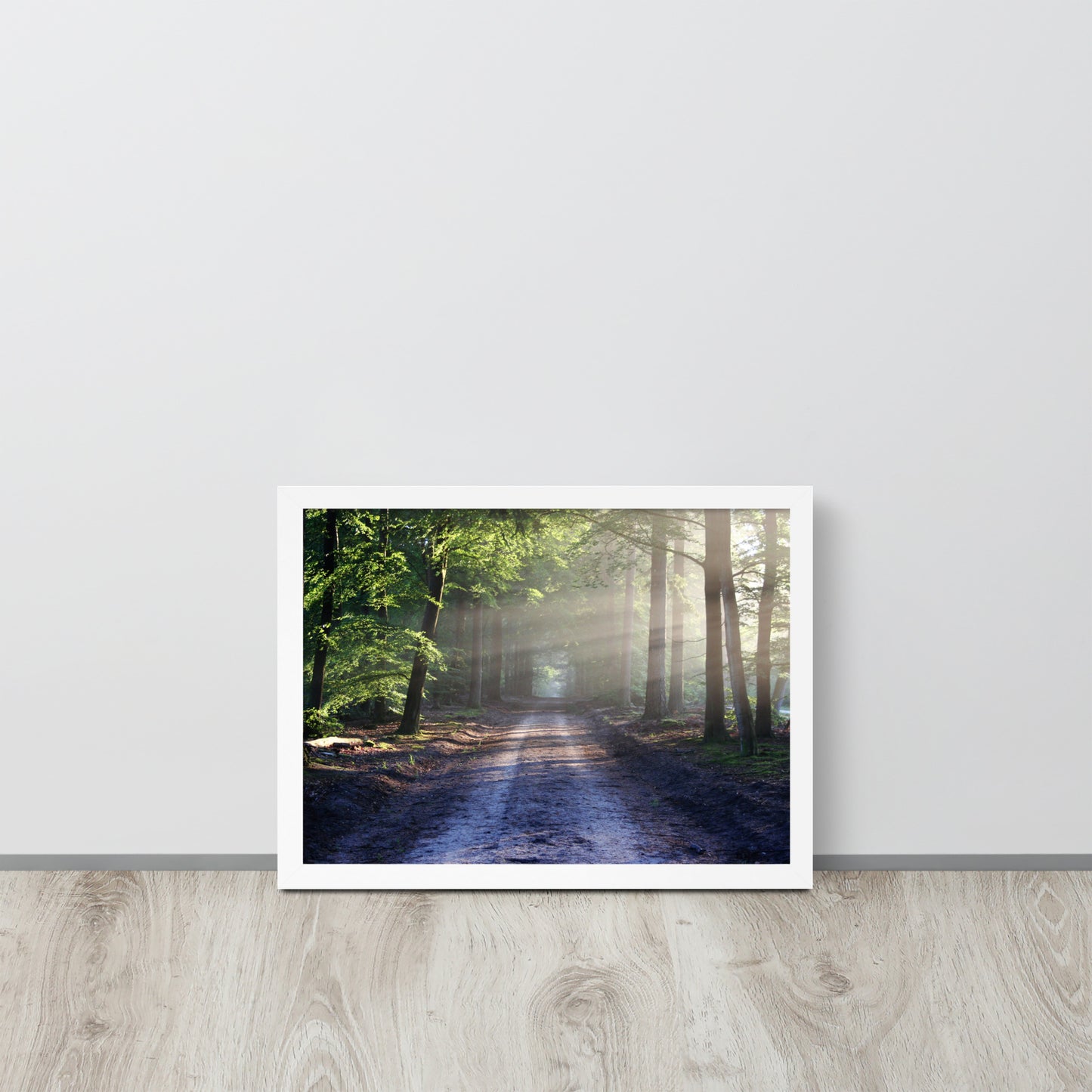 Path Through Woods Framed Poster