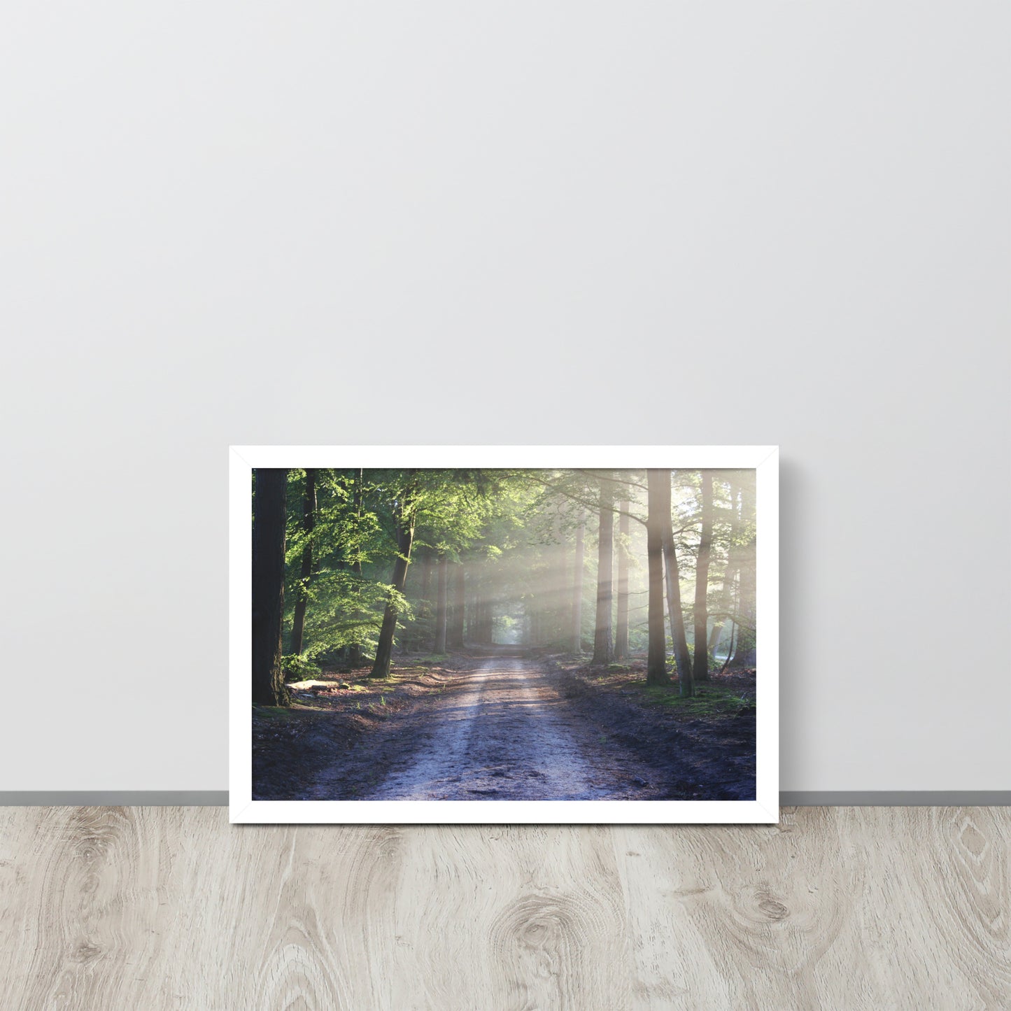 Path Through Woods Framed Poster