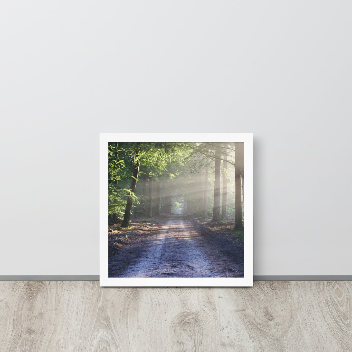 Path Through Woods Framed Poster