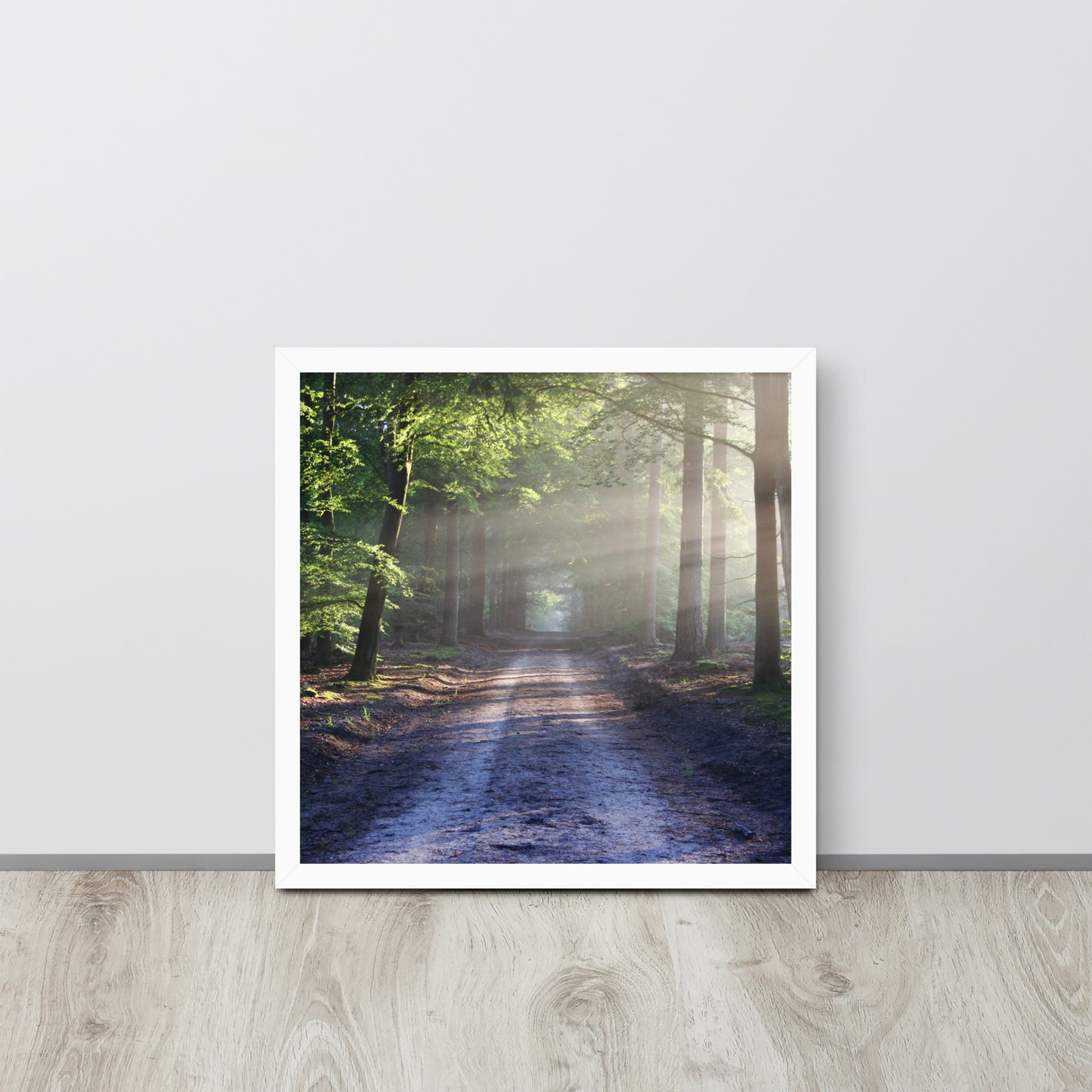 Path Through Woods Framed Poster