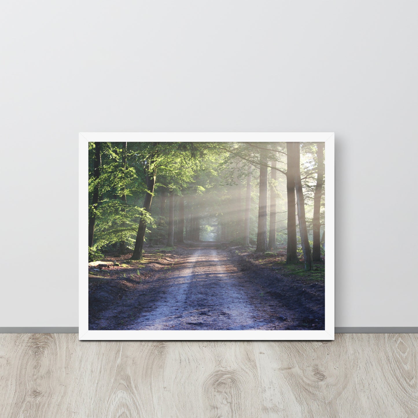 Path Through Woods Framed Poster