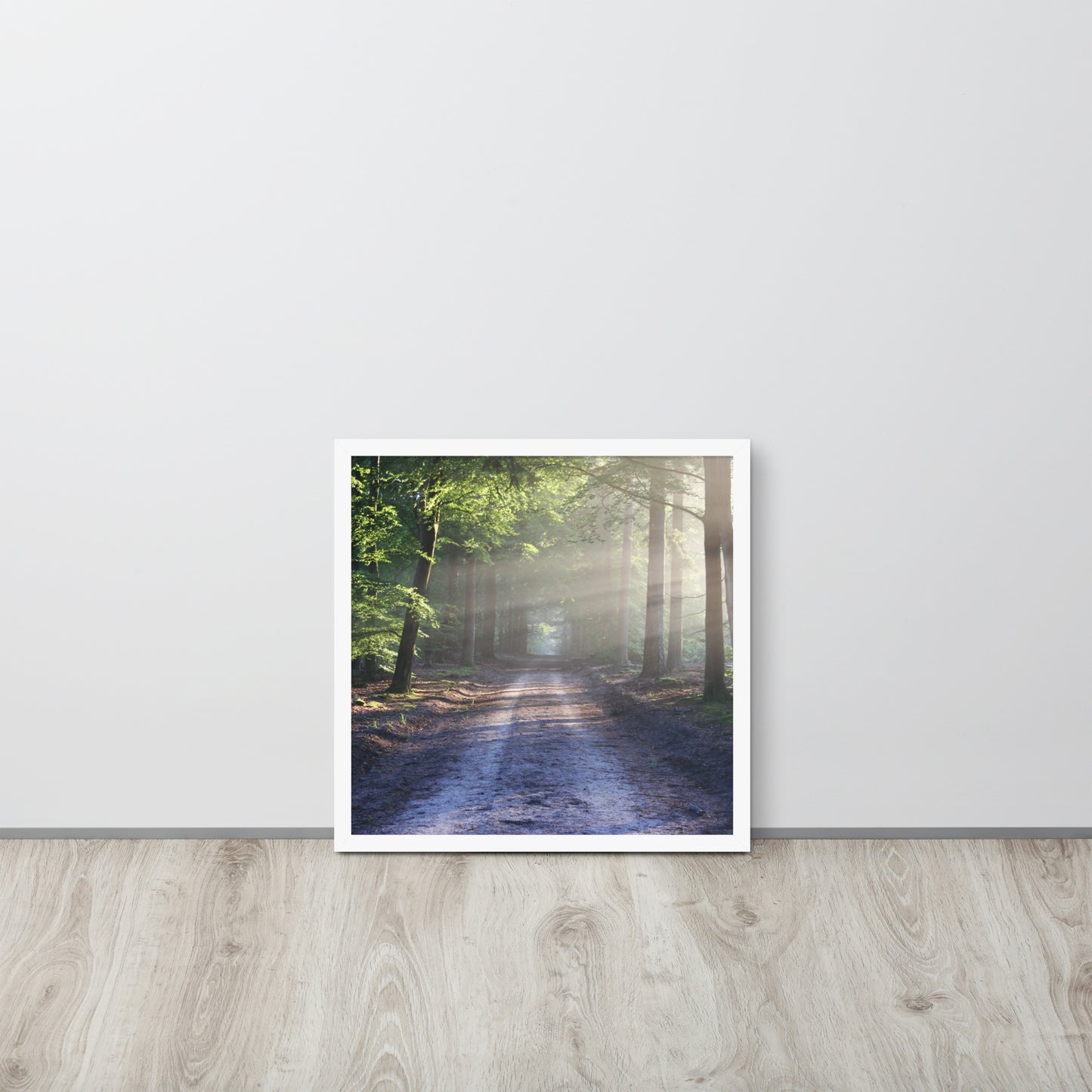 Path Through Woods Framed Poster