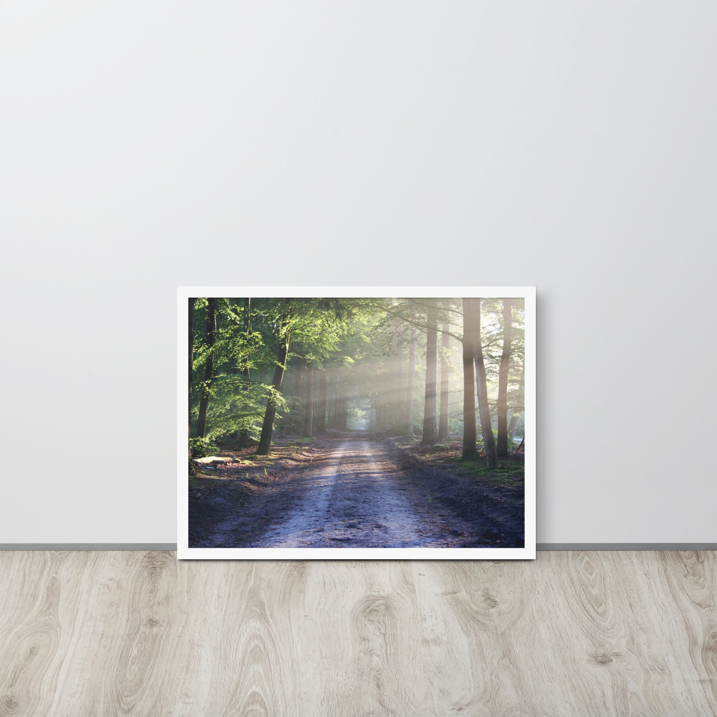 Path Through Woods Framed Poster