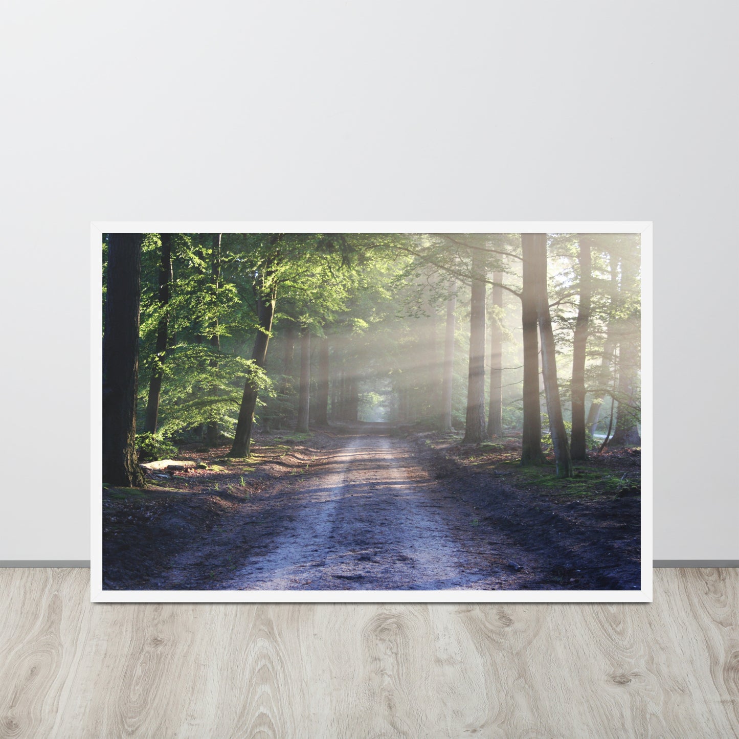 Path Through Woods Framed Poster