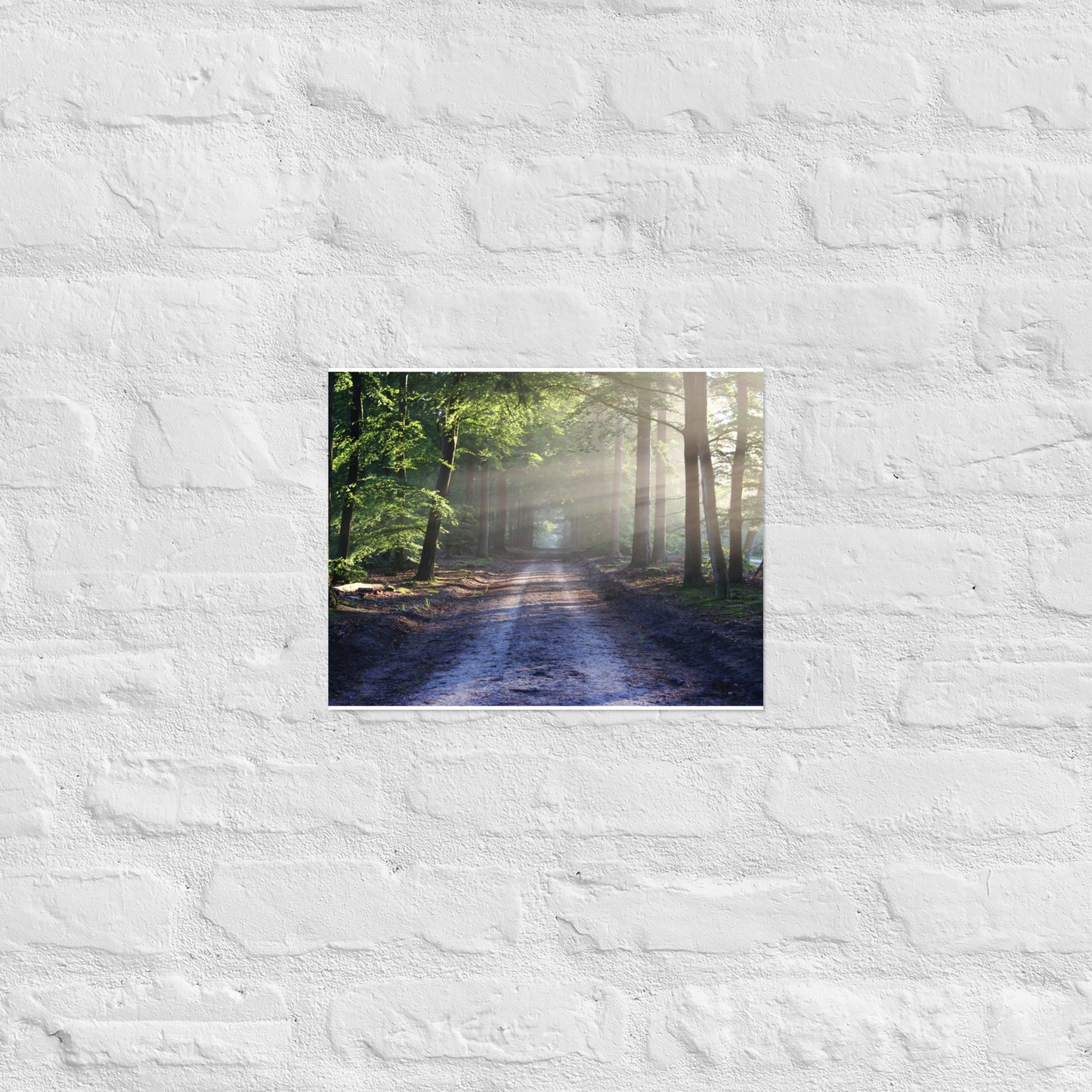 Path Through Woods Poster