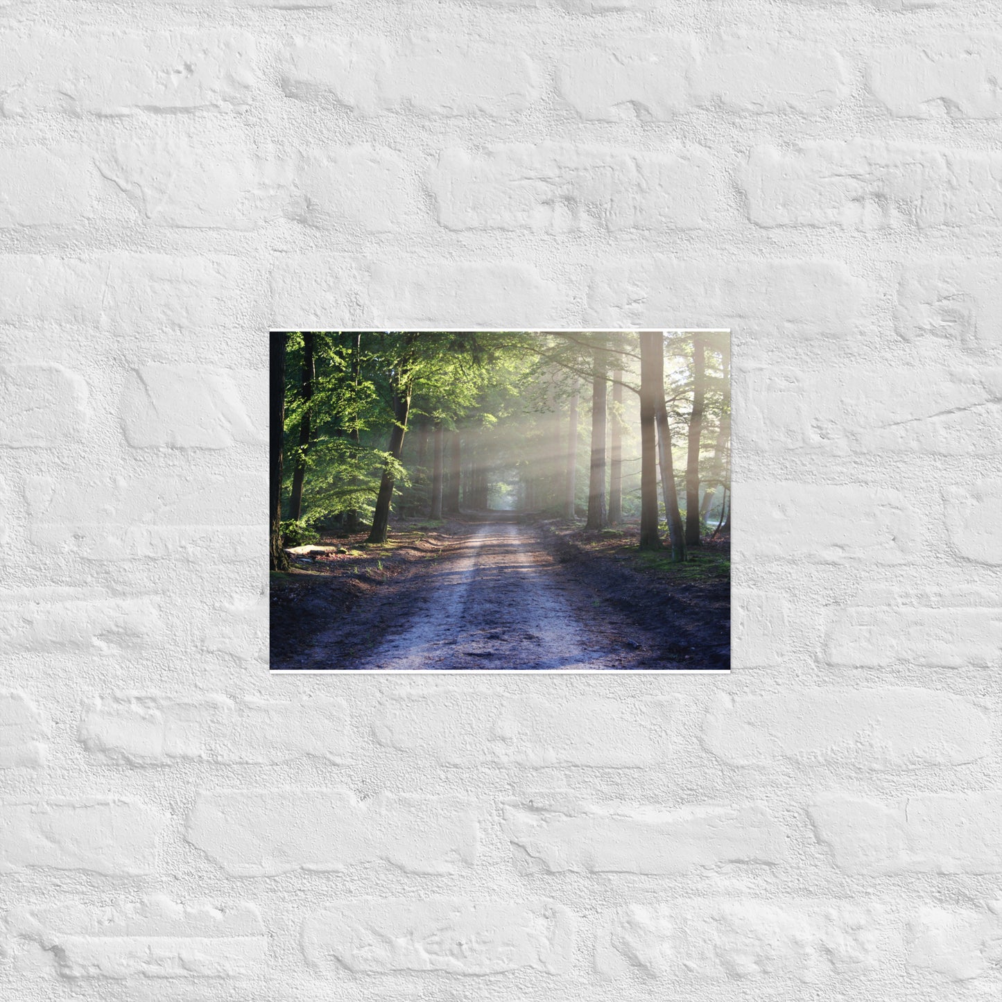 Path Through Woods Poster