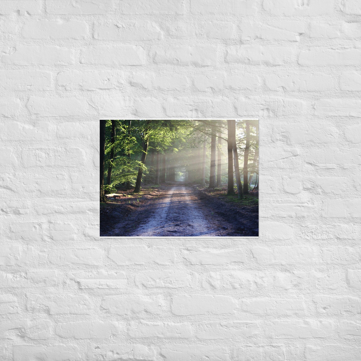 Path Through Woods Poster