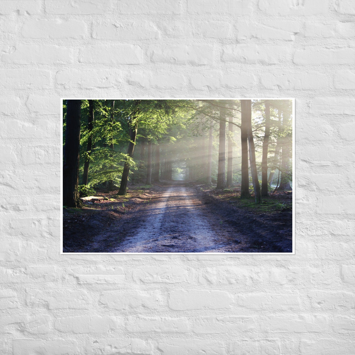 Path Through Woods Poster