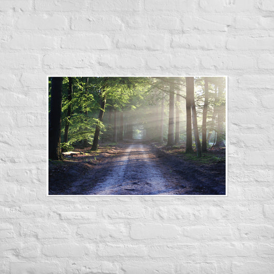 Path Through Woods Poster